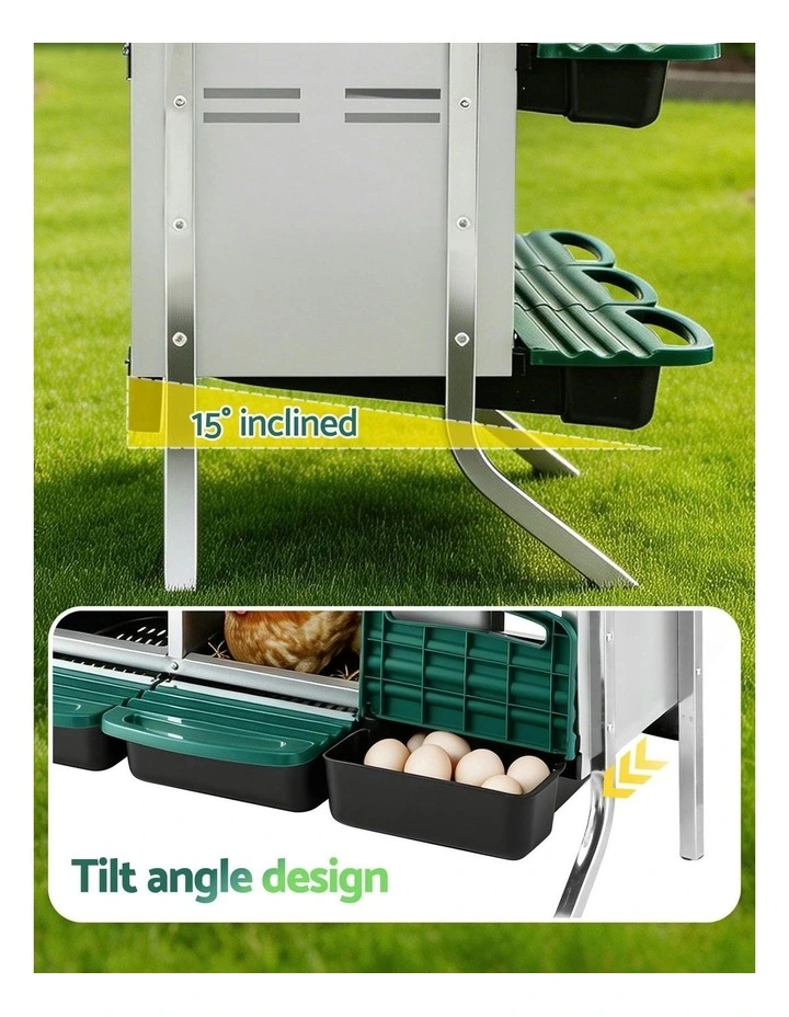 6 Holes Chicken Nesting Box in Green image 6