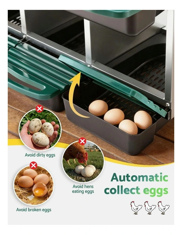 6 Holes Chicken Nesting Box in Green image 7
