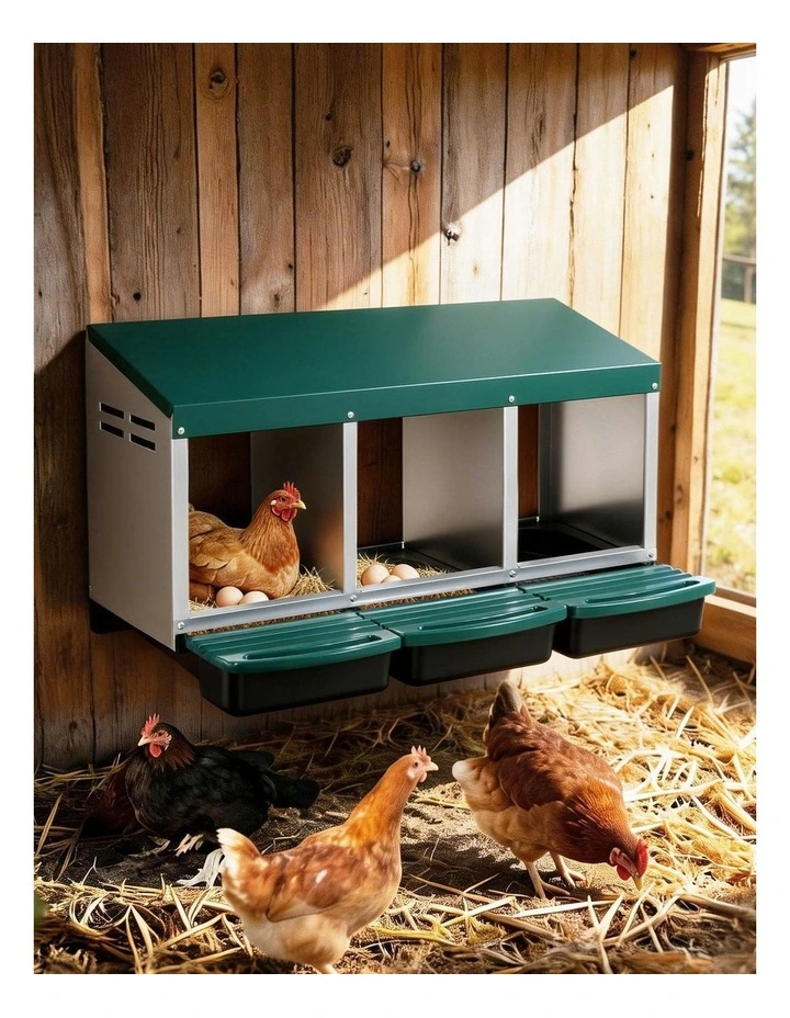 3 Holes Roll Away Nesting Box in Green image 3
