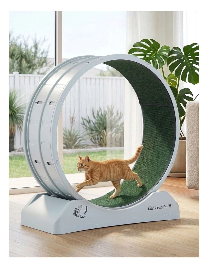 Cat Exercise Wheel Treadmill Indoor 80cm in Blue & Green image 2