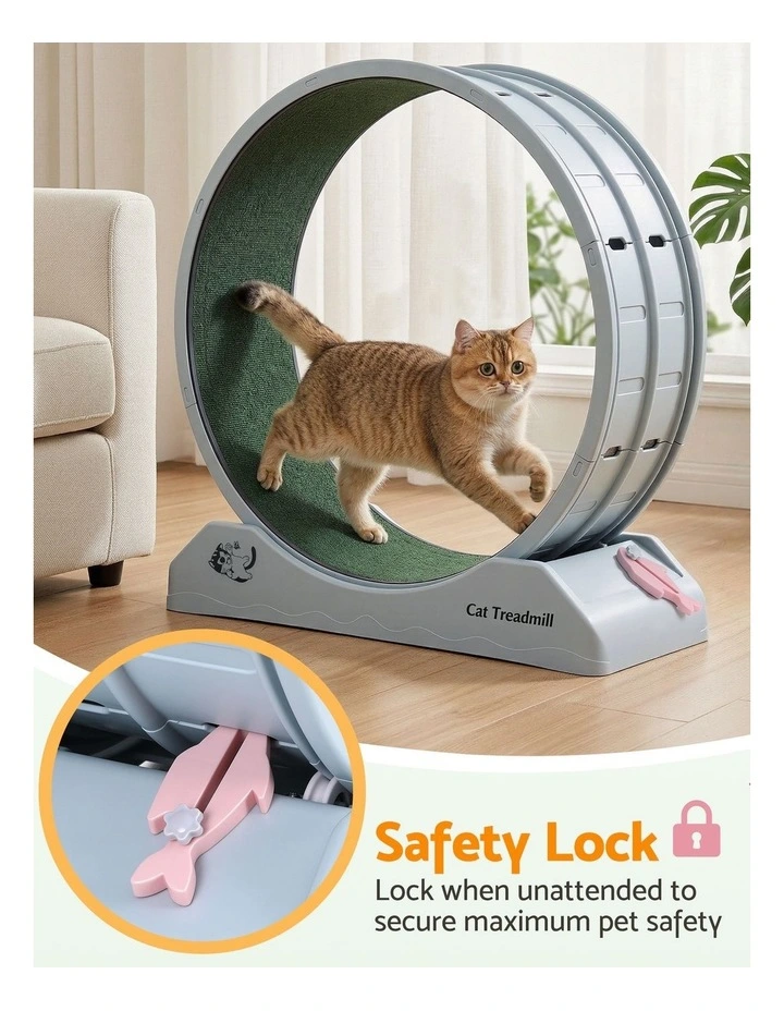 Cat Exercise Wheel Treadmill Indoor 80cm in Blue & Green image 6