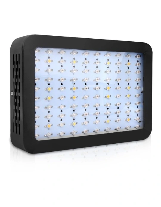 grow light shop