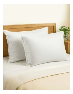 Set of 2 Duck Down Pillow