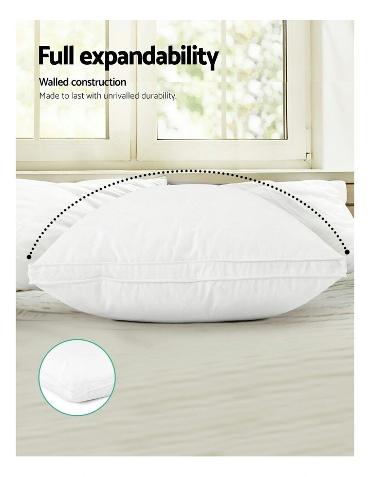 Goose Feather Down Twin Pack Pillow image 2