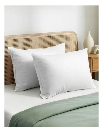 Set of 2 Goose Feather and Down Pillow in White