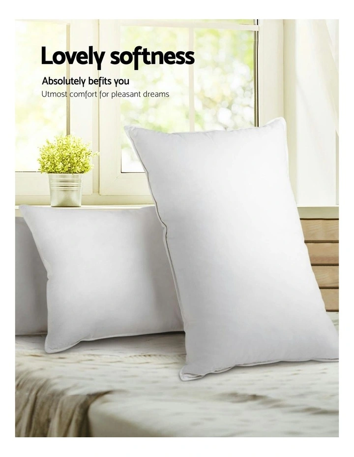 Set of 2 Goose Feather and Down Pillow image 3
