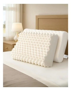 Set of 2 Natural Latex Pillows