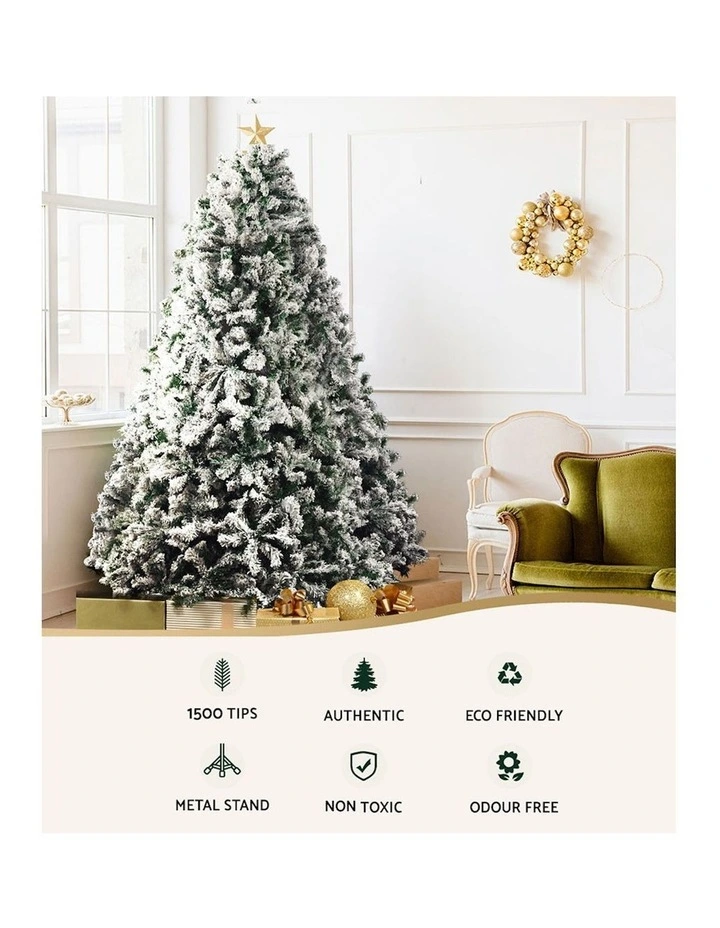 Christmas Tree image 4