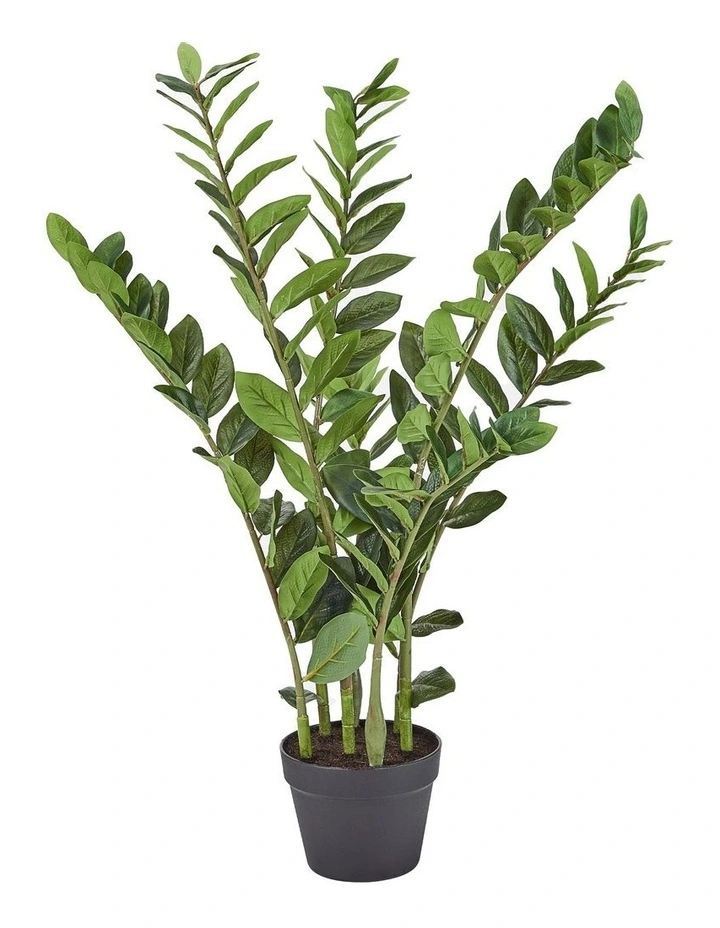 Cooper & Co Artificial Zanzibar Plant In Pot 95cm In Green MYER