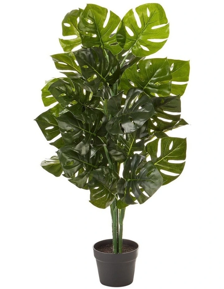 Cooper & Co 95Cm Artificial Monstera Plant MYER