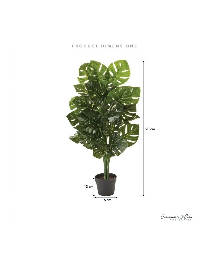 Cooper & Co 95Cm Artificial Monstera Plant MYER