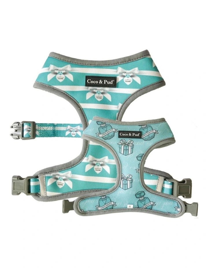 Audrey Dog Harness image 1