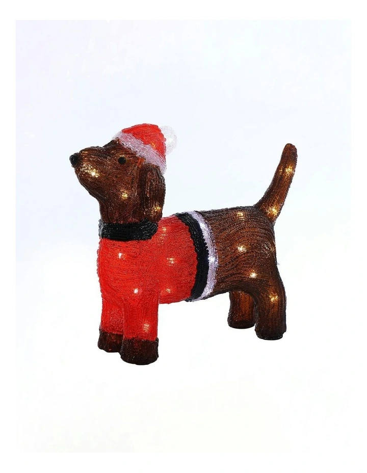 Acrylic Dachshund Dog H36cm image 1