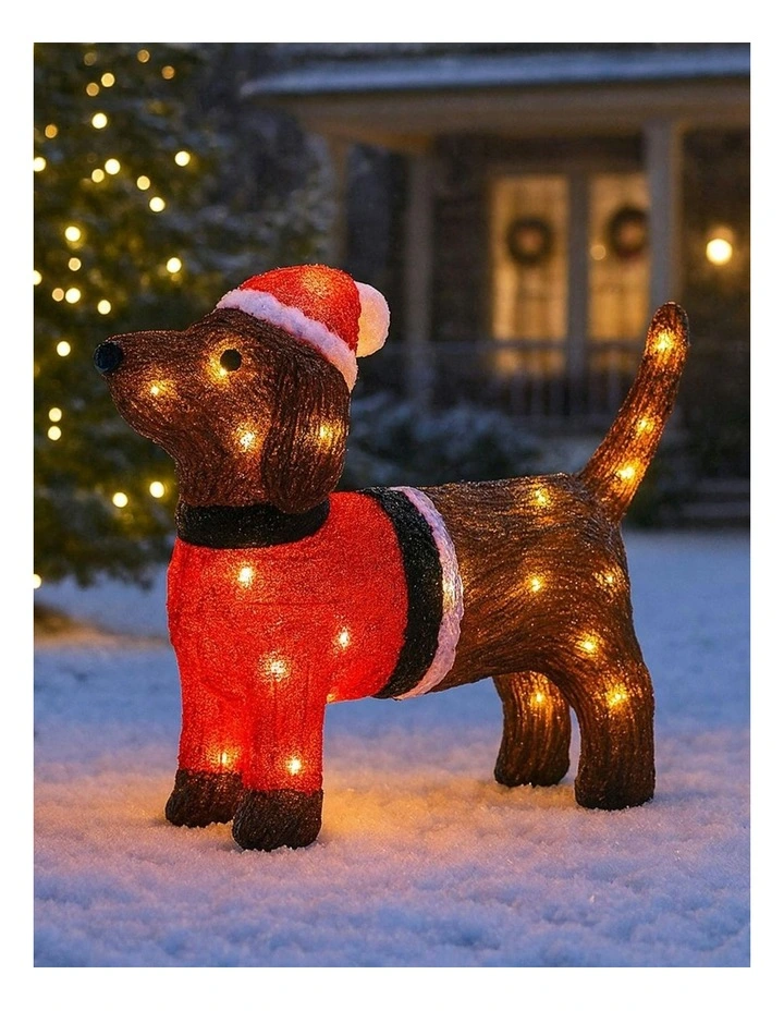 Acrylic Dachshund Dog H36cm image 3