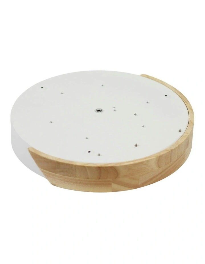 Celestia Ceiling Light Small in White image 7
