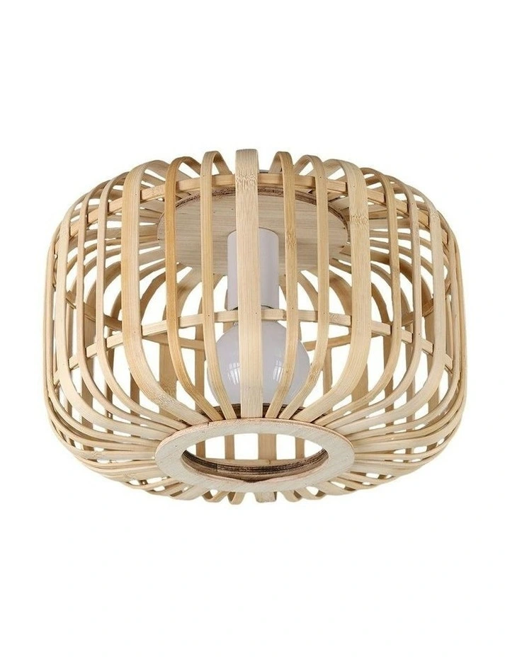 Canaya Ceiling Light in Natural image 1