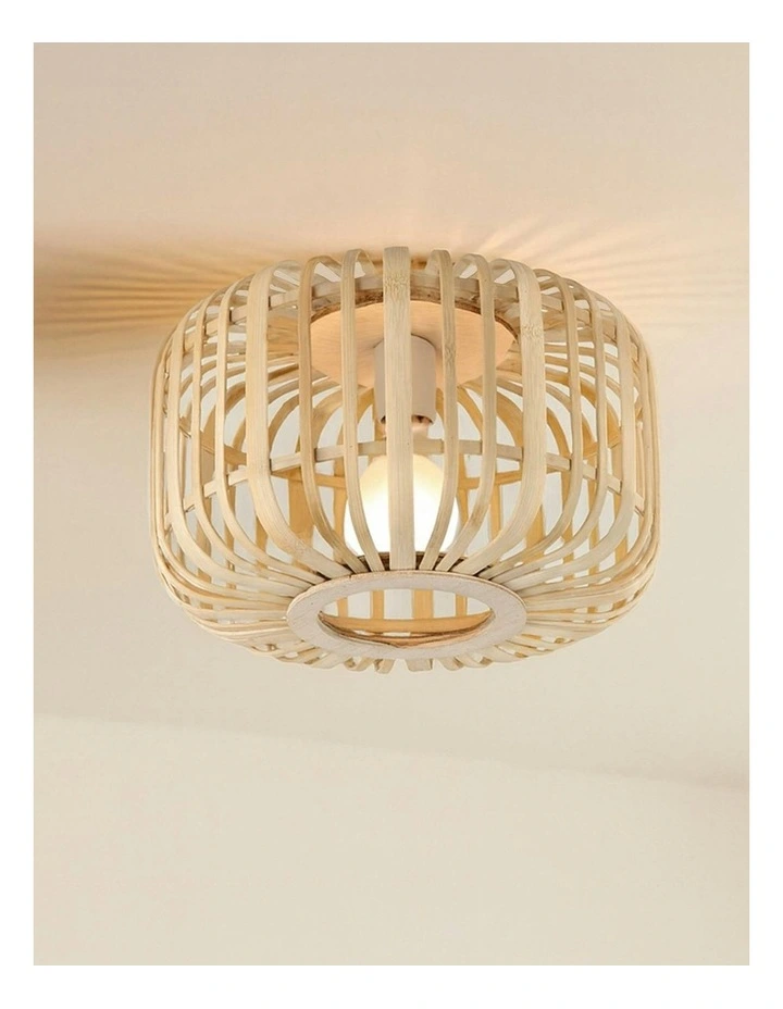 Canaya Ceiling Light in Natural image 3