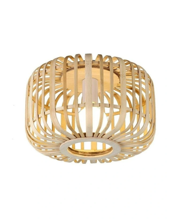 Canaya Ceiling Light in Natural image 7