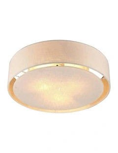 Linea Ceiling Light