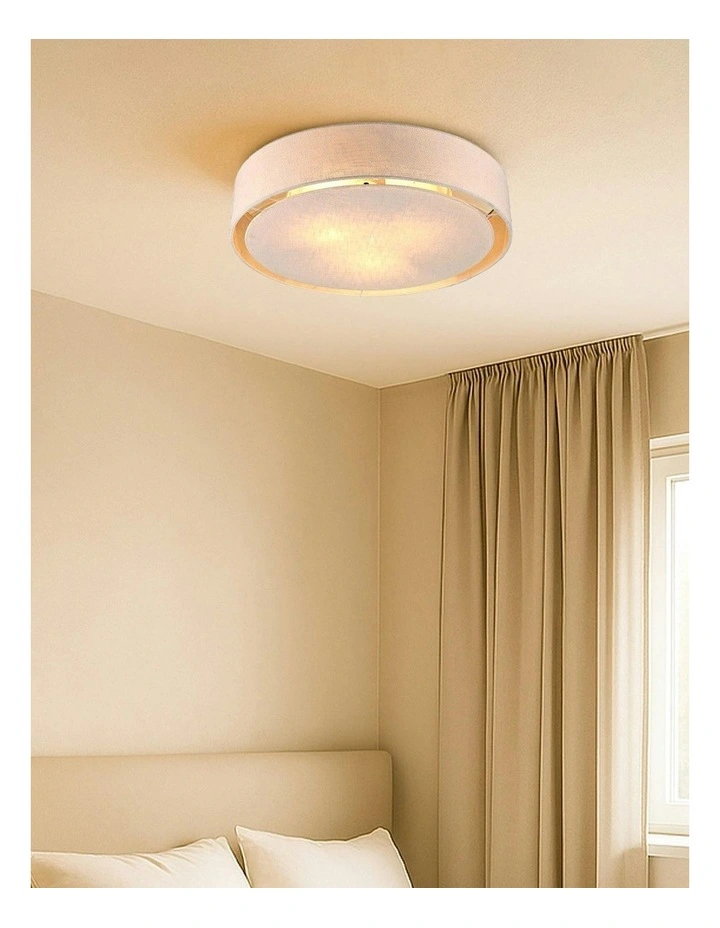 Linea Ceiling Light image 2