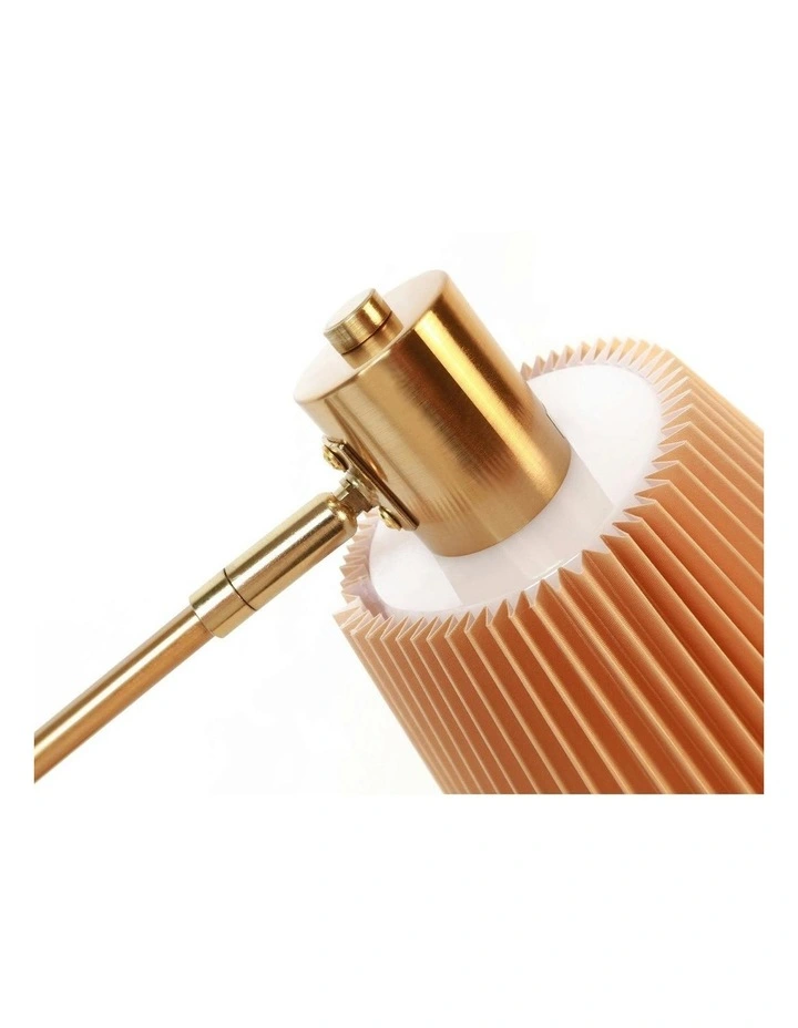 Ruston Floor Lamp in Gold image 6