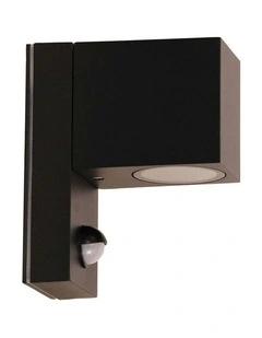 Sensor Outdoor Sensor Wall Light in Black