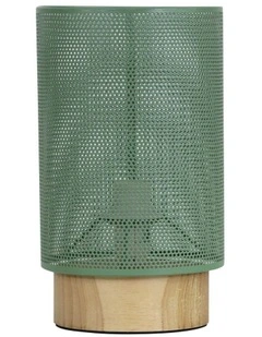 Lenny Mesh Bedside Table Lamp in Green