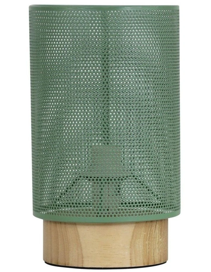 Lenny Mesh Bedside Table Lamp in Green image 1