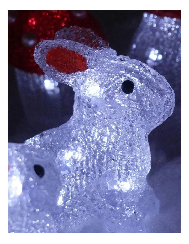 Acrylic Mini Bunny Set Of 5 in Multi image 4