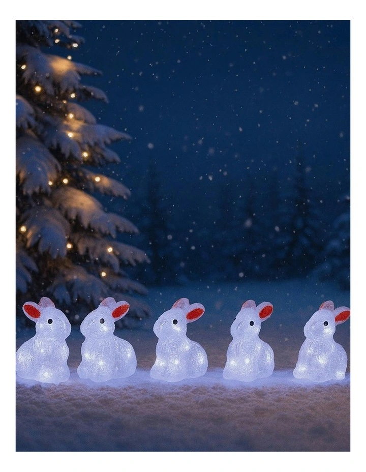 Acrylic Mini Bunny Set Of 5 in Multi image 6