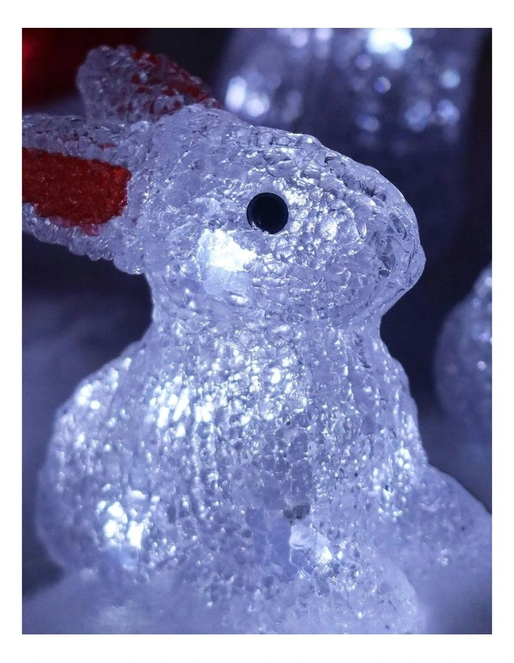 Acrylic Mini Bunny Set Of 5 in Multi image 7