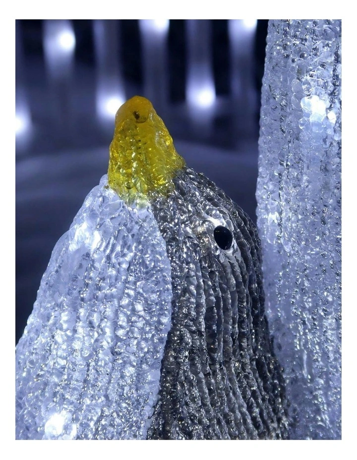 Acrylic Penguin in Multi image 2