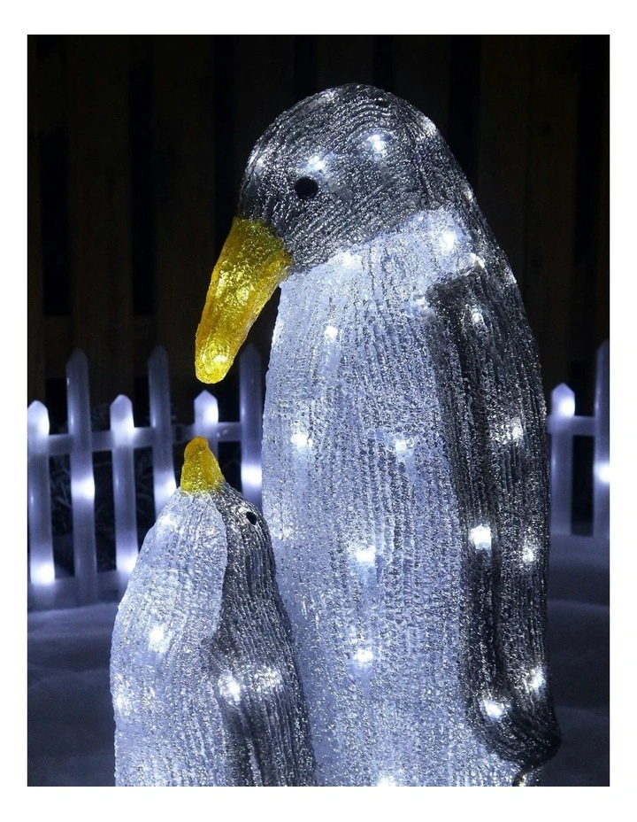 Acrylic Penguin in Multi image 3