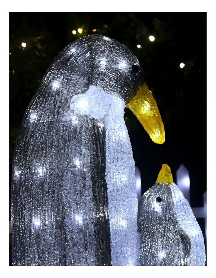 Acrylic Penguin in Multi image 5