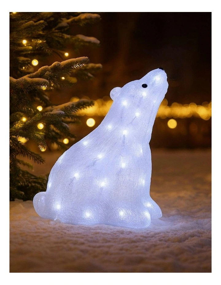 Acrylic Polar Bear in Multi image 4