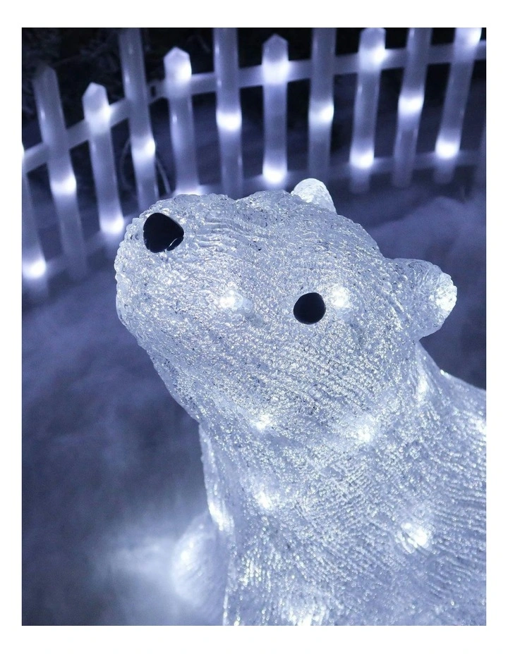 Acrylic Polar Bear in Multi image 6