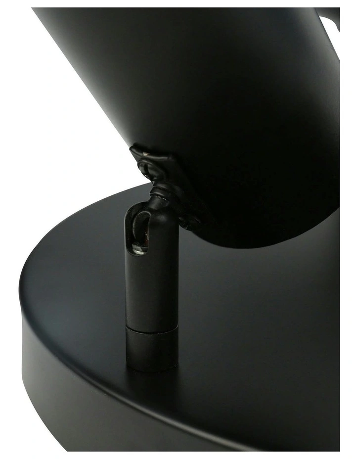 Brianna Round Spot with 3 Lights in Black image 7