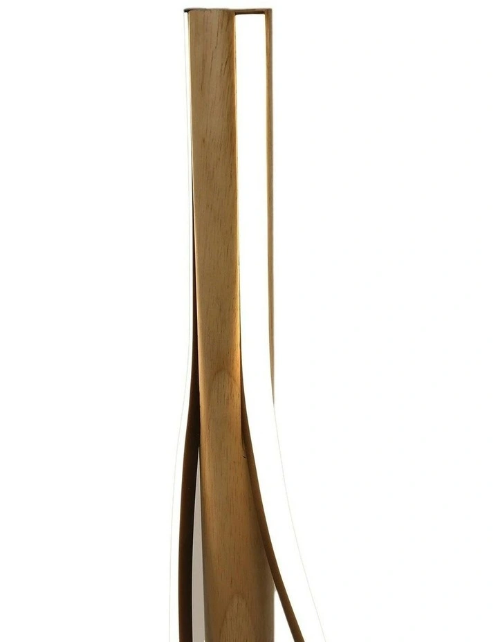Bonnie LED Floor Lamp in Brown image 4