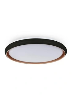 Melanie Ceiling Light in Black