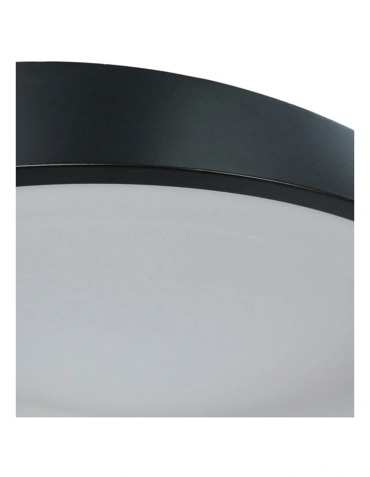 Hayley Small Ceiling Light in Black image 6