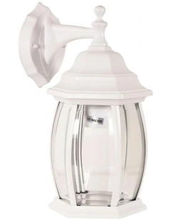 Highgate Down Outdoor Wall Light in White
