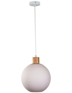 Twillo 25 Pendant Light in Opal Matt