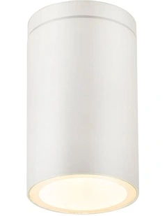 Myren Outdoor Ceiling Light in White