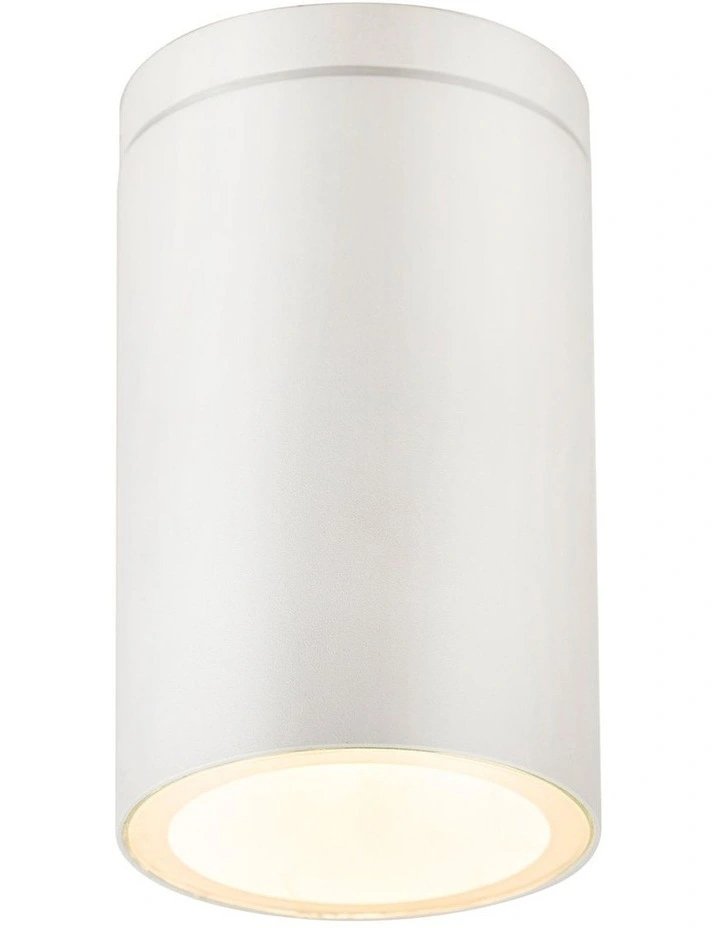 Myren Outdoor Ceiling Light in White image 1