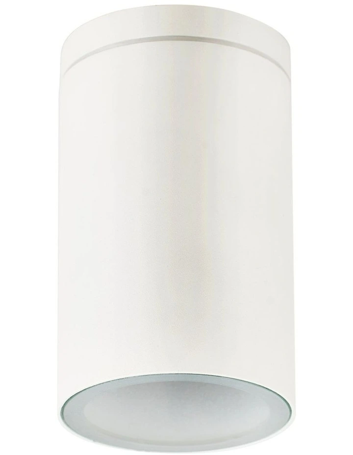 Myren Outdoor Ceiling Light in White image 4