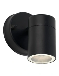 Zyven Fixed Single Outdoor Wall Light in Black