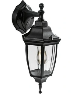 Lunor Down Outdoor Wall Light in Black