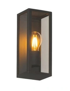Zyra Outdoor Wall Light in Black