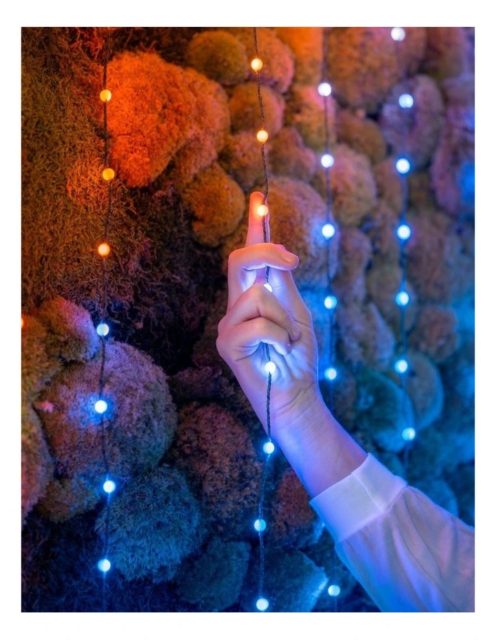 LED Candie String Light USB-C Powered Green Wire Pearl Shape RGB - 100 image 4