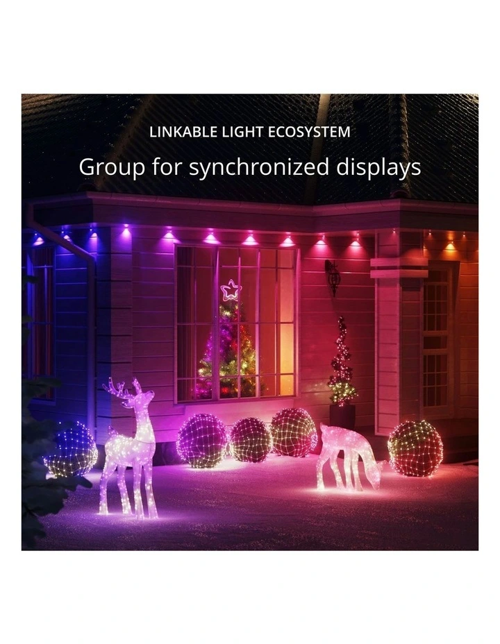 160 LED 3D Reindeers - Doe Reindeer AU Plug Clear Wire Iron, Acrylic - RGB+W image 5